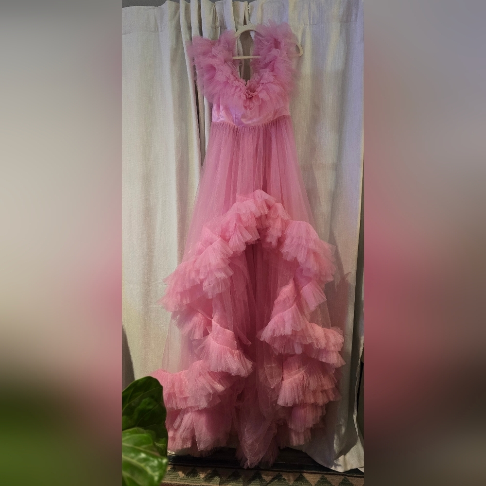 Pink Tulle Dress with Train Photoshoot Bridal Maternity Pics Party Pink Barbie
